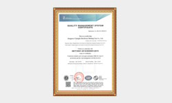 �|(zh��)�������J(r��n)�C�C��(sh��)